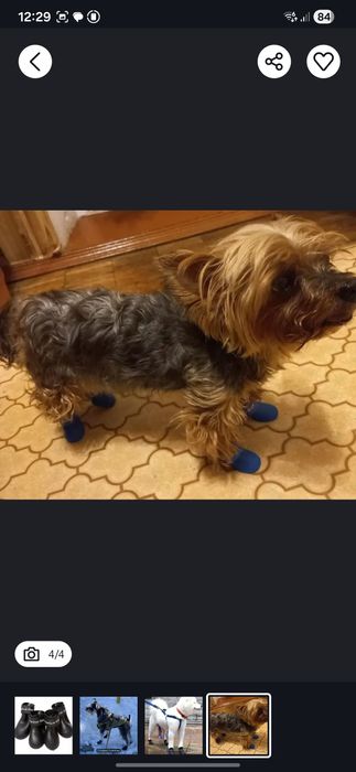 încălțăminte cizme câini pisici papuci ghetuțe câini