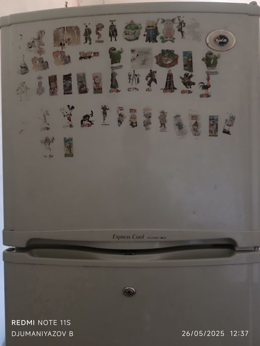 LG muzlatgich koreyski