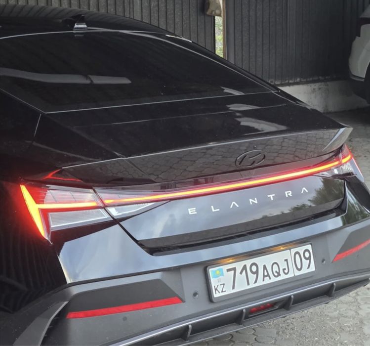 Elantra задний леды