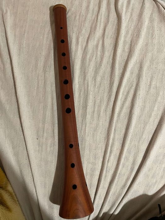 Зурна от слива разложка