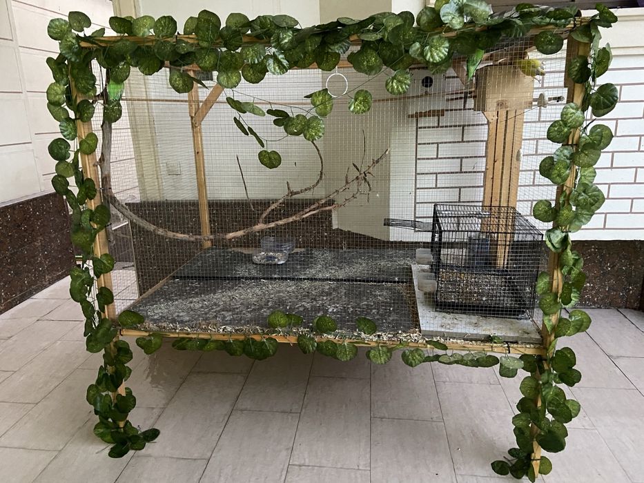 1 ga 1 yarim qafas qushlarga