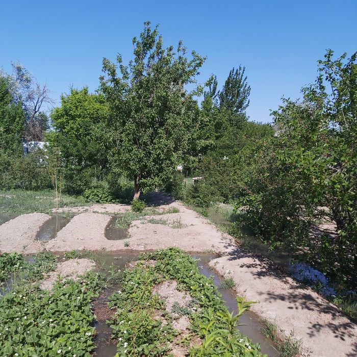 Срочно! Дом (силикатный кирпич)