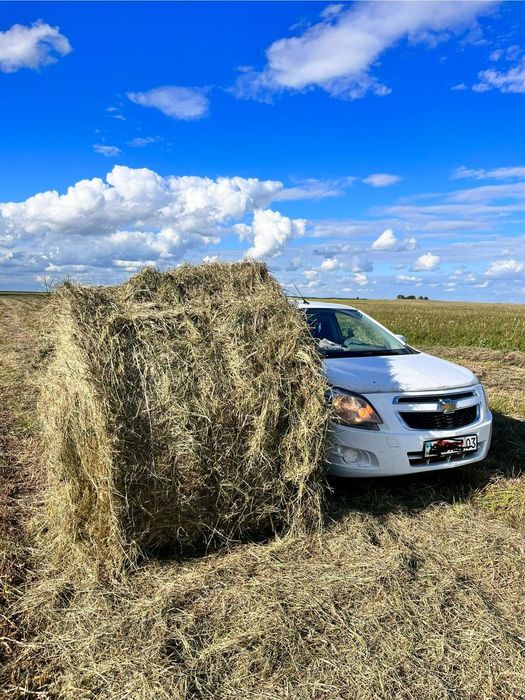 Тюки рулонные сено 300кг