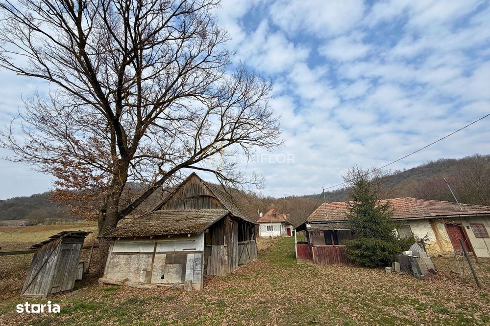 Casă cu teren generos | Tofalău | 97.000 €