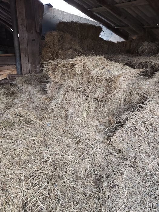 Baloti de fan, dreptunghiulari