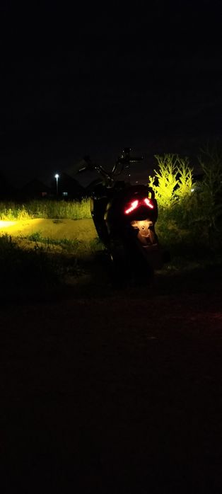 Pedo Gts sport italia