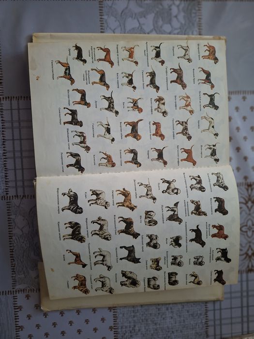 Продам книги всё про собак
