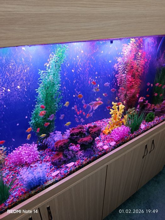 Аквариум 430 литров готовый