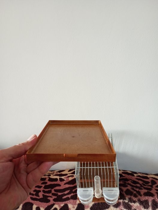 Colivie cantec canari