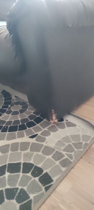 холна кожена гарнитура на четири модула