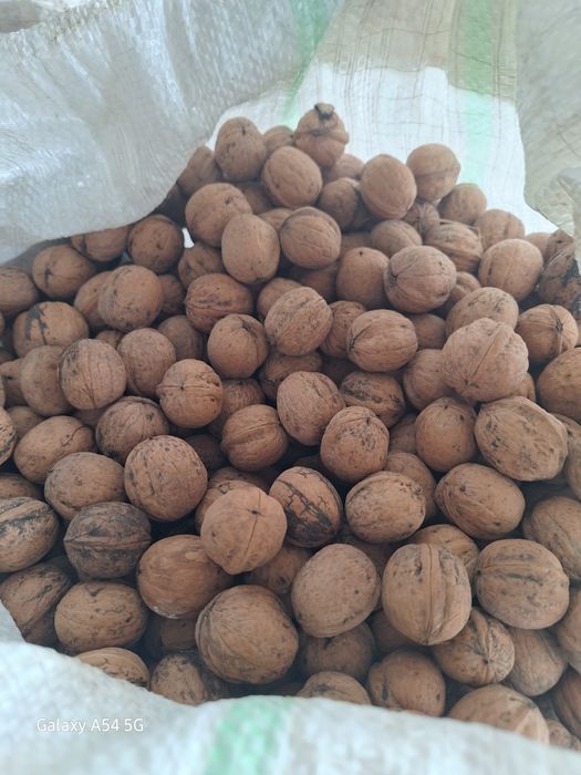 Nuci în coaja din nuc propriu