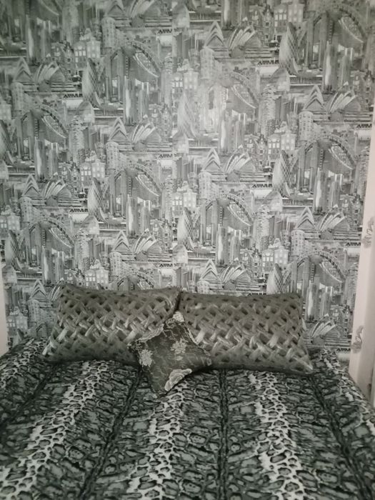 1,5ка посуточно в центре