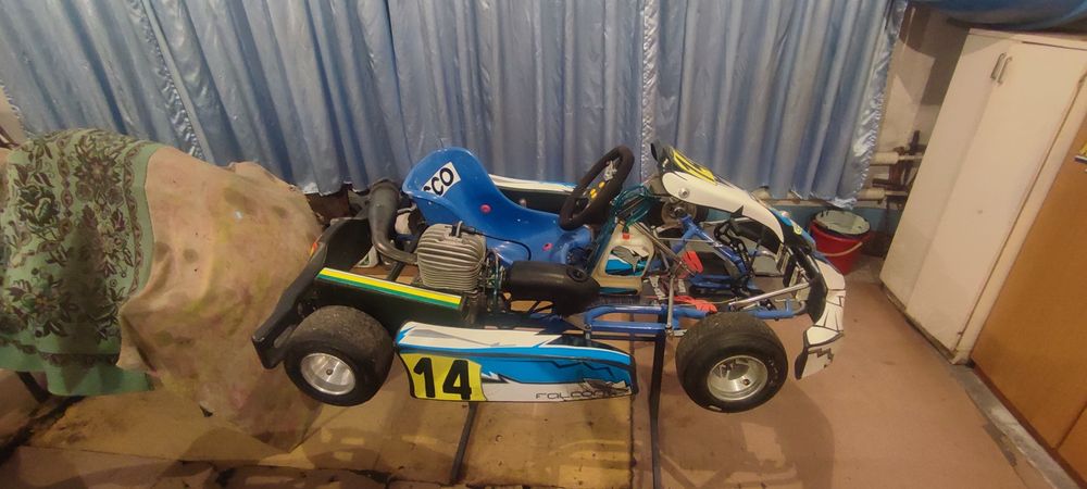 Спортивный картинг