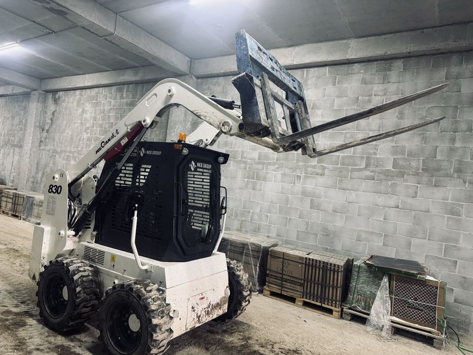 Аренда мультик, мини погрузшик, бопкат