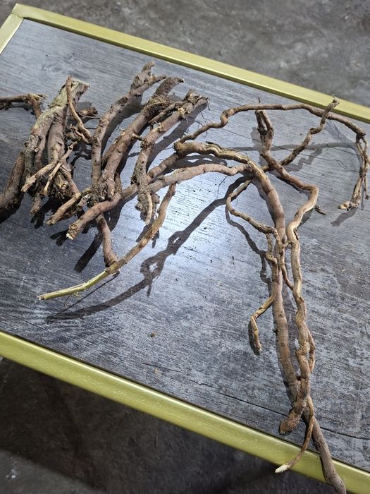 Корень солодки / Лакрица / 100 г. / от кашля