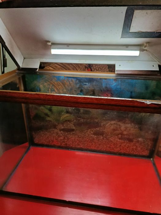 Аквариум для рыбок