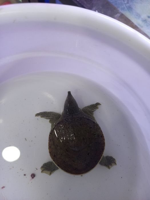 Akvarium baliqlar dokoni sergili va yunusobod