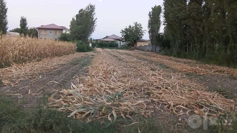 Ер сотилади Янгийул Шуралсой 10 сотих нархи 1500 дан