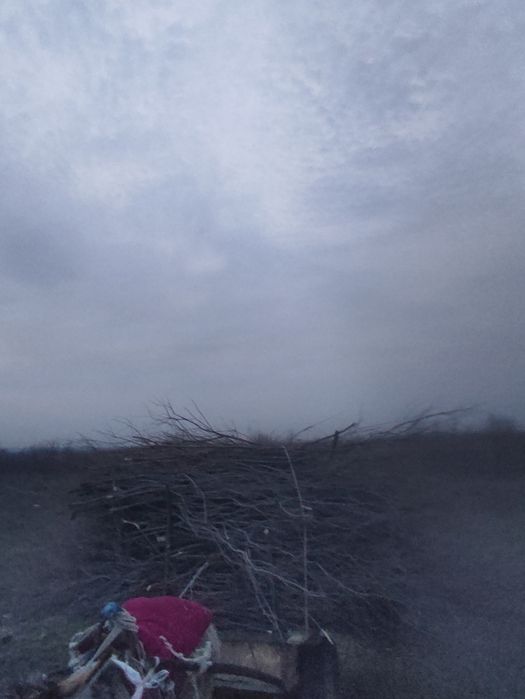 Сатылмдар бар қызытырса