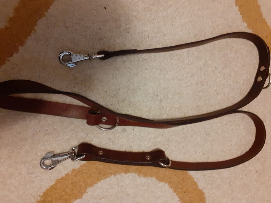 Set zgardă si lesă vip tip C