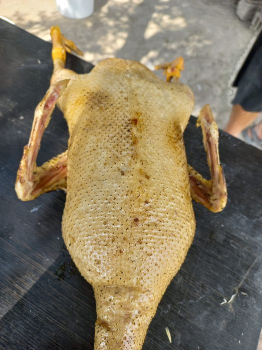 Утки гуси мясо уток гусей