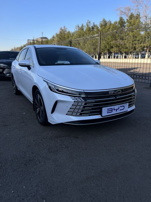 BYD Chazor 2024 — 2