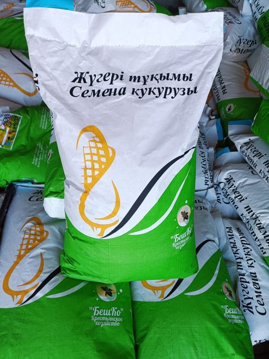 Кукуруза, семена кукурузы