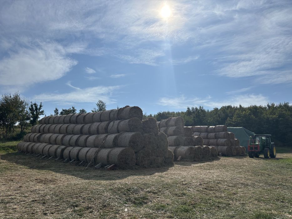 Baloti fan si lucerna