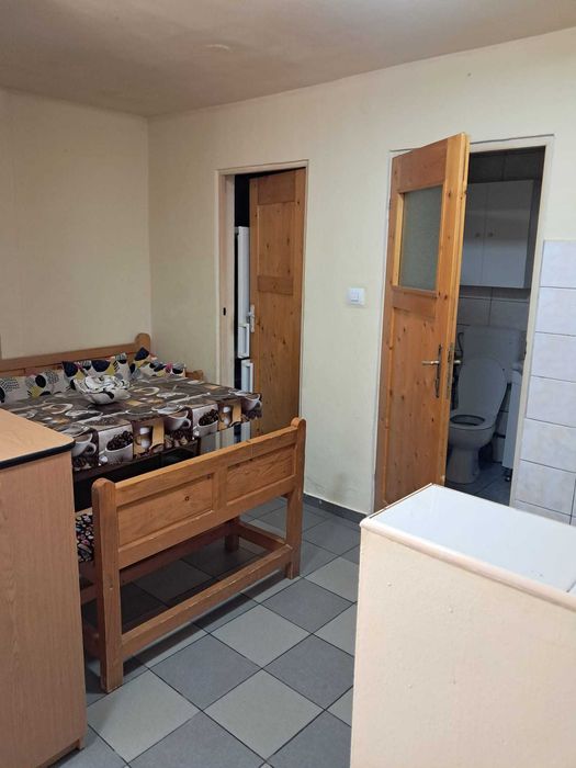 Apartament cu o cameră  Timișoara de inchiriat