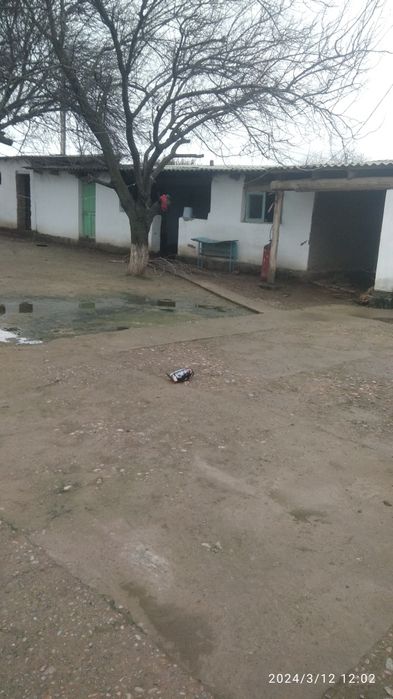 Уй сотилади. Бука туман Бука МФЙ