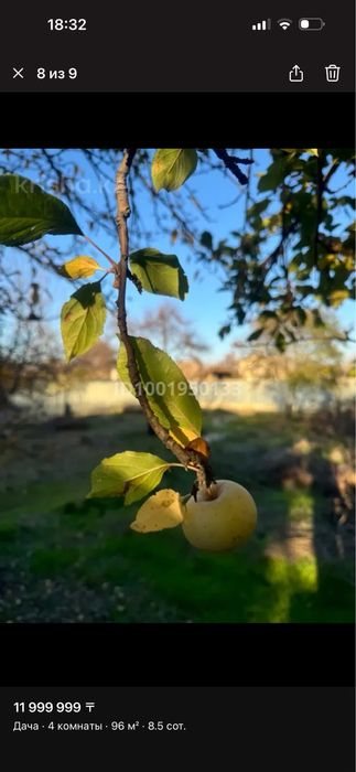 Продам дачу в талгарском районе кендала