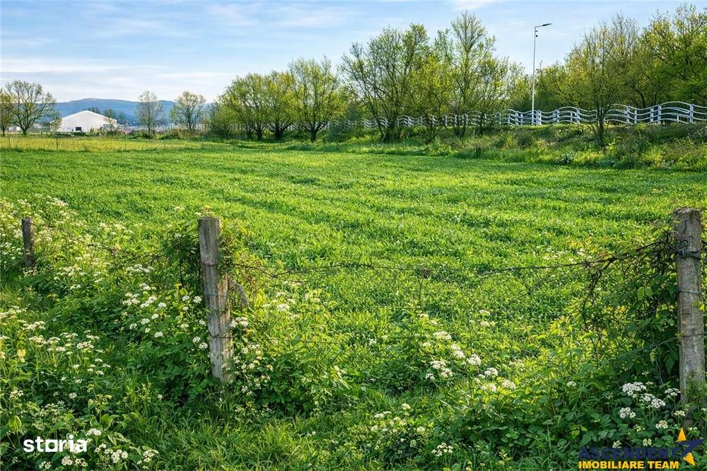 Teren extravilan 1450 mp, din care curti constructii 312 mp, Sfantu Gh