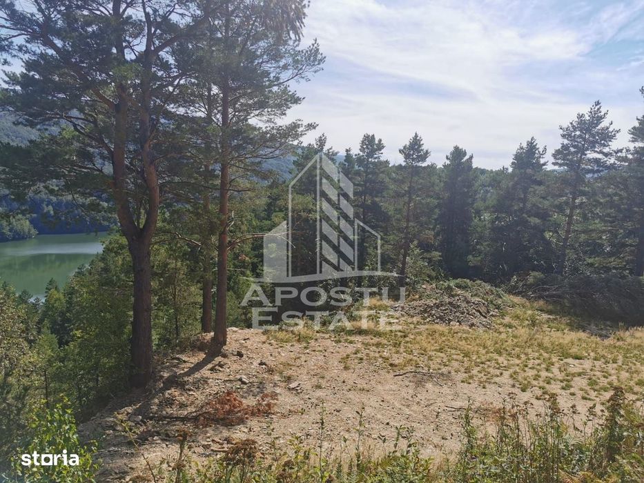 Teren intravilan, 2000mp, cu vedere panoramica spre lacul Valiug