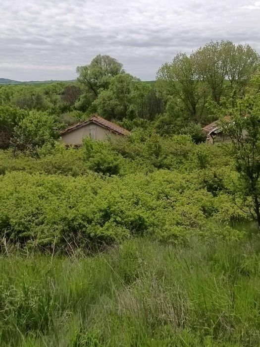 Парцел със стара къща с. Извор Софииско