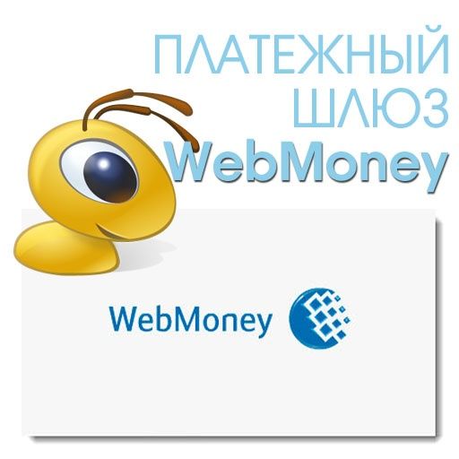 Webmoney ishlatishga maslahatlar, Консультация Вебмани