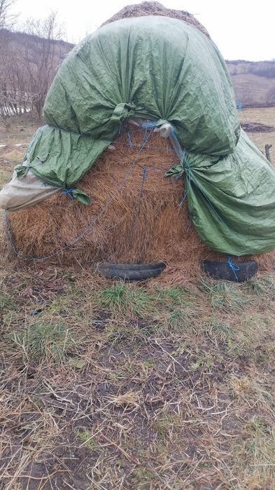 Vând baloți amestec