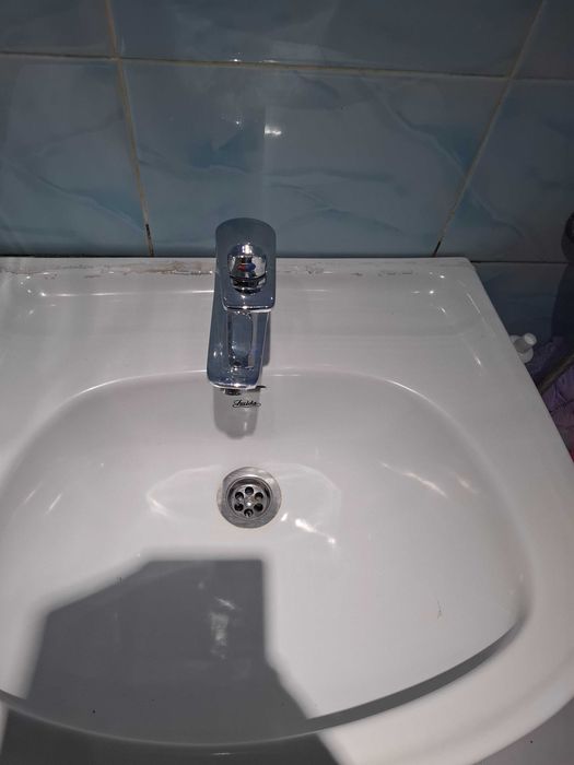 Продам тюльпан с раковиной