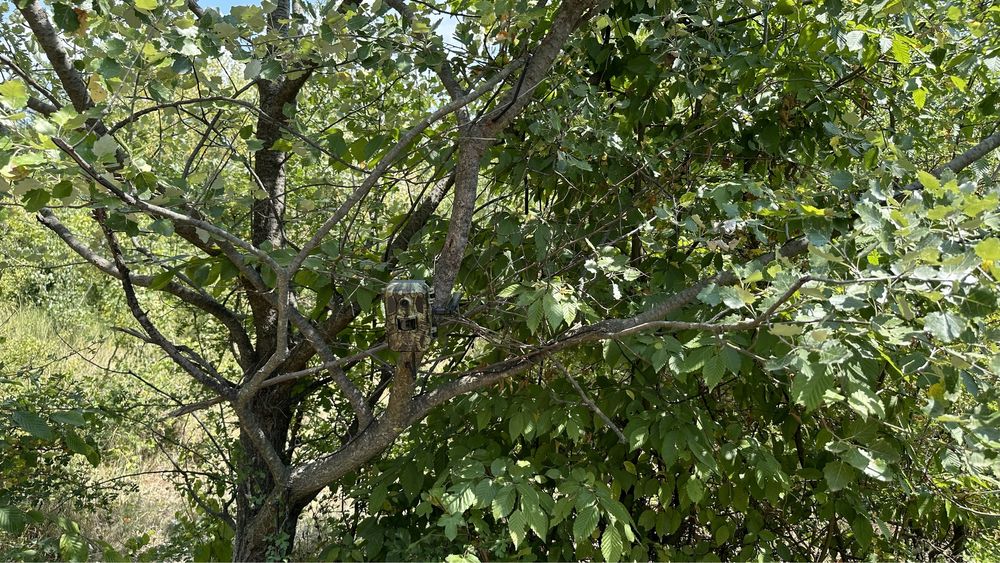 ForestCamLive F3 Original 4G Camera Vanatoare