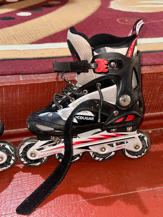 Ролик "coguar"..