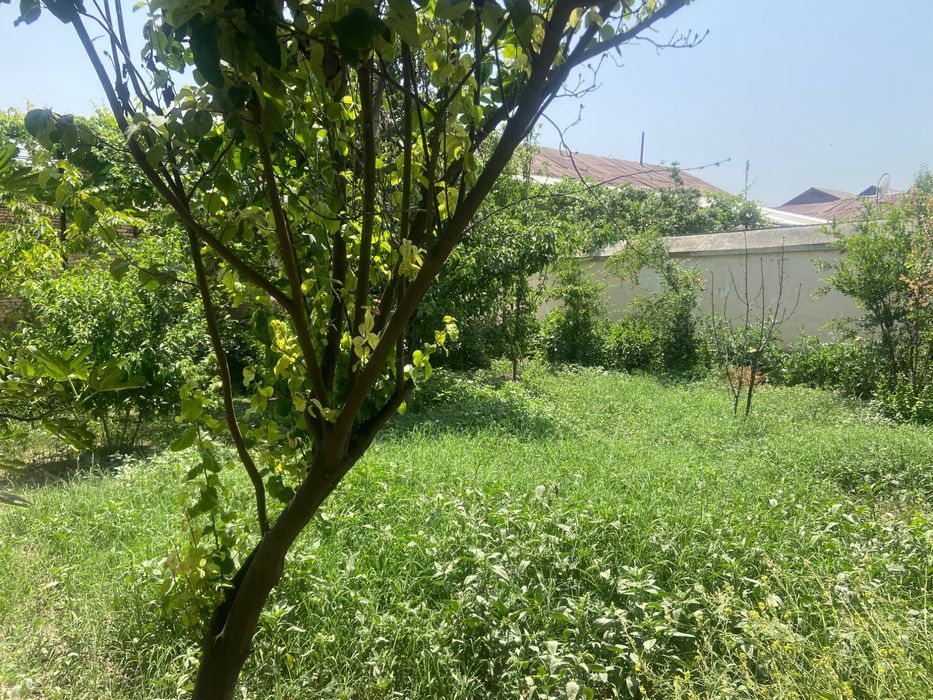 Продаю дом с участком