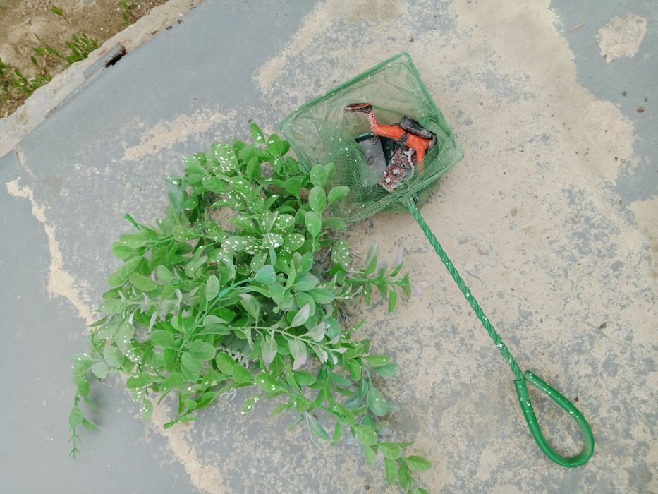 Аксессуары для аквариума