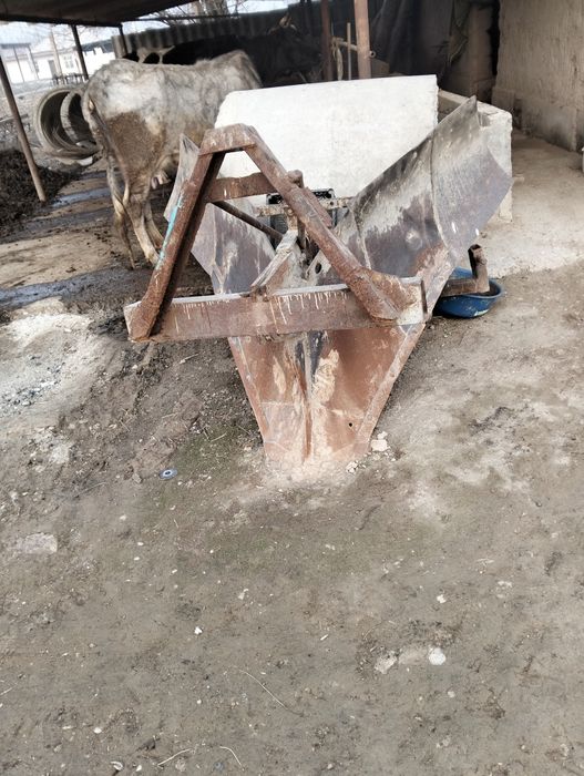 Аришник жағдаы жаксы