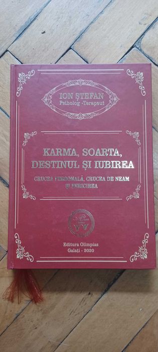 6 carti psihoterapeut Stefan Ion, Miracolul salvarii ingerilor