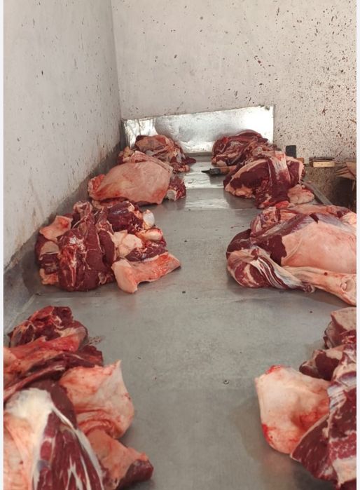 Касапшы ет бөлу ет бұзу