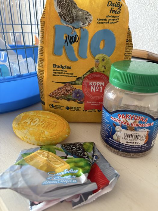 Продам клетку для попугая