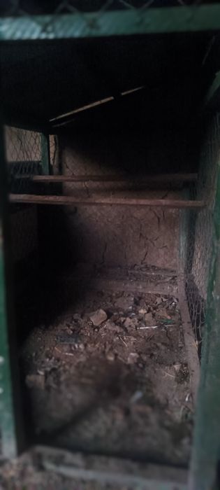 Клетка для курей и петухов