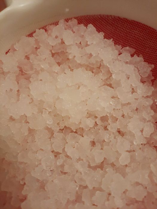 Ciuperca  kefir de lapte chefir de apa scoby kombucha