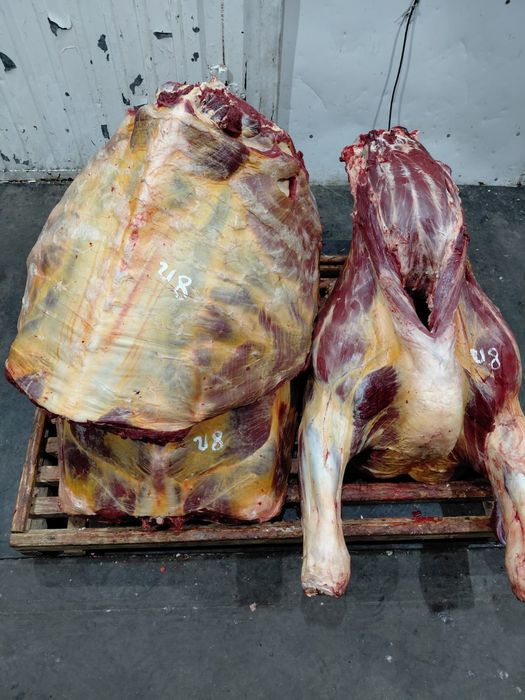 Оптом мясо говядины тушами оптом