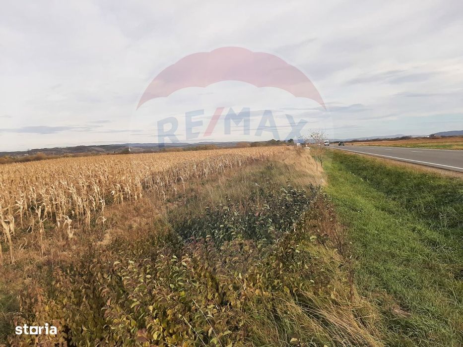 De vânzare teren intravilan, în Săbolciu, cu deschidere la E60