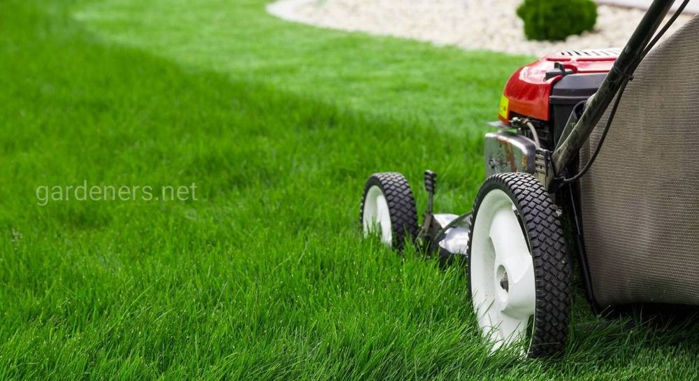 Услуги садовника .